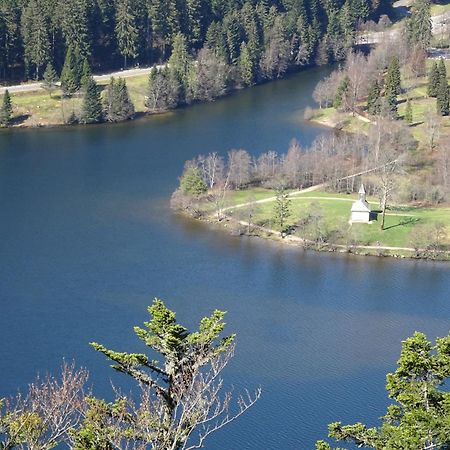 Villa Chalet la Petite Perle à Gérardmer Extérieur photo