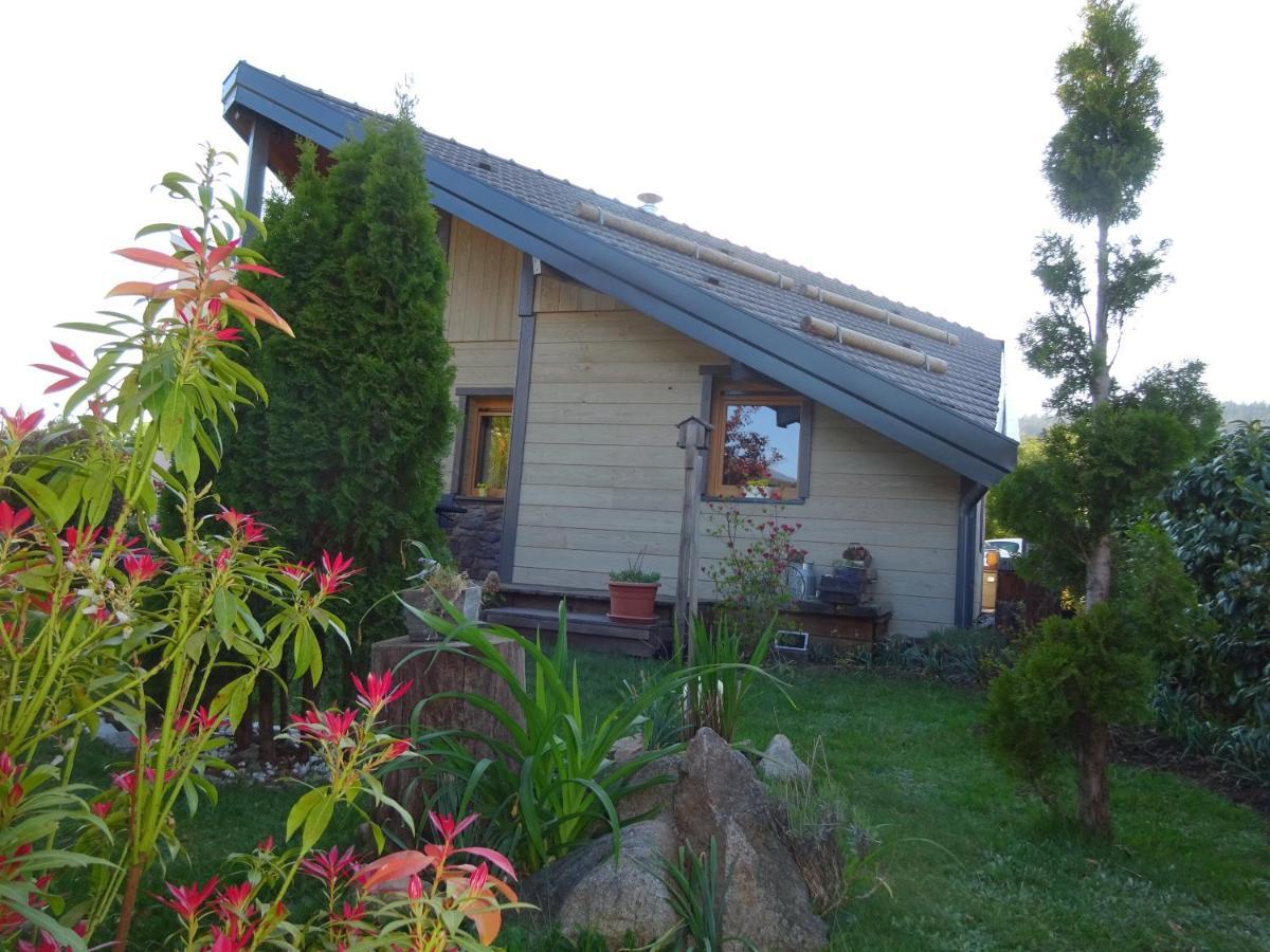 Chalet la Petite Perle Gérardmer Extérieur photo