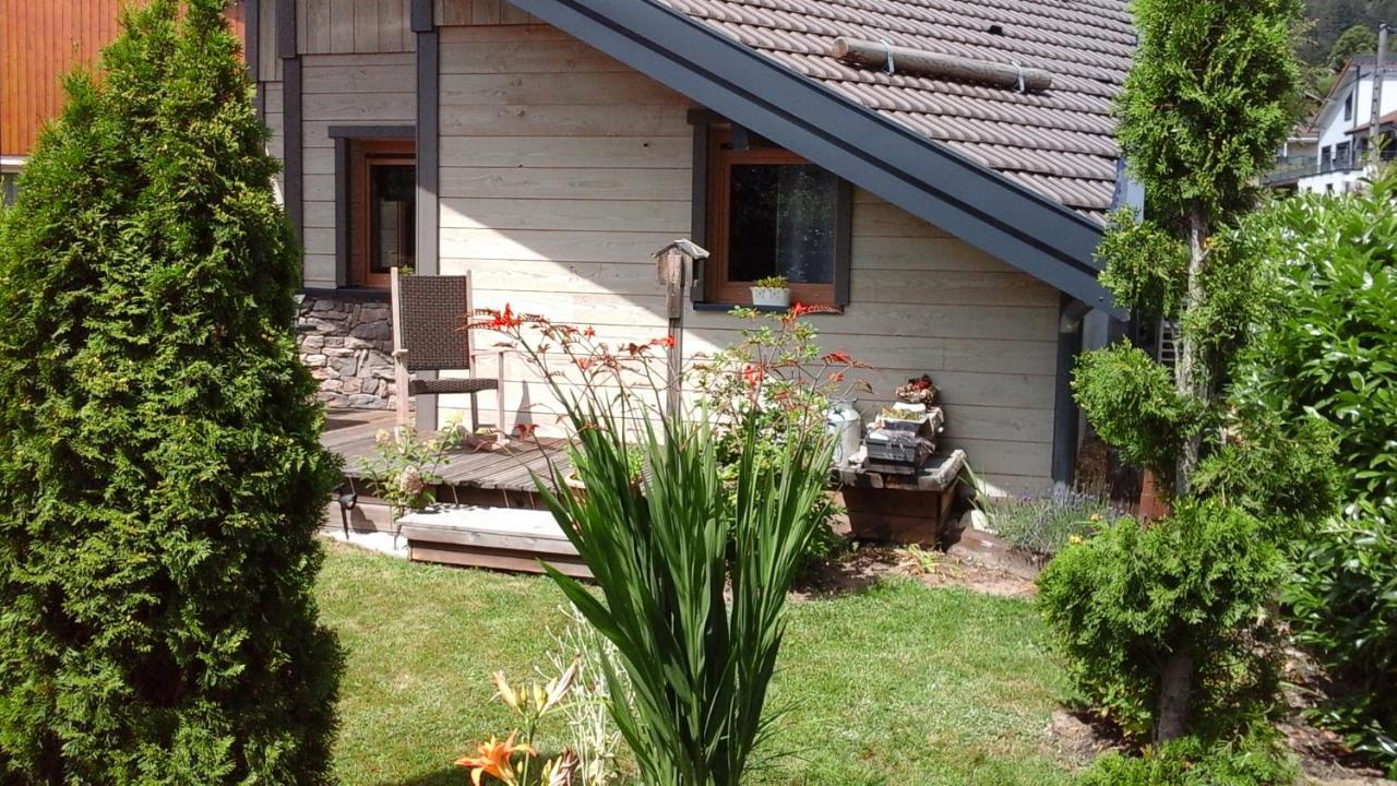 Chalet la Petite Perle Gérardmer Extérieur photo